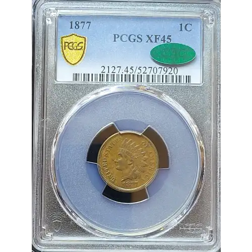 1877 1C, BN (4)