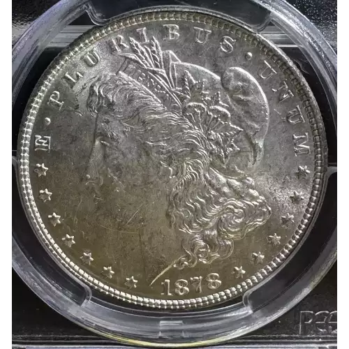 1878 7TF $1 Reverse of 1878 (2)