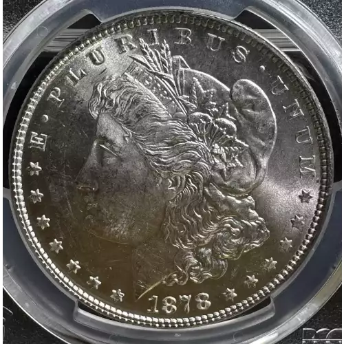 1878 7TF $1 Reverse of 1878 (2)