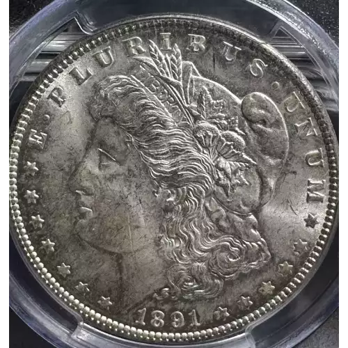1891 $1 (3)