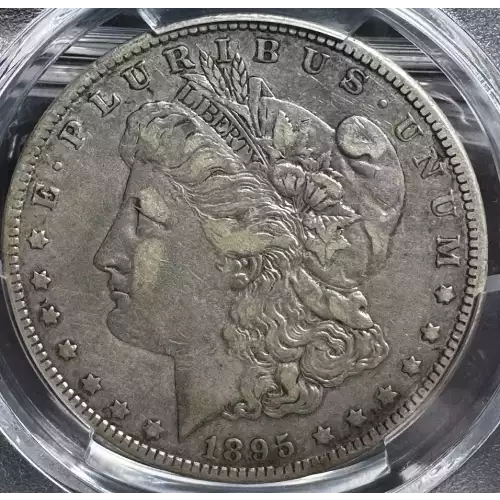 1895-O $1 (3)