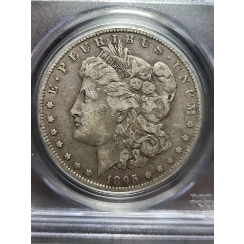 1895-O $1 (2)