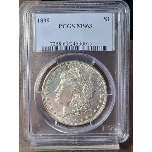 1899 $1 (2)