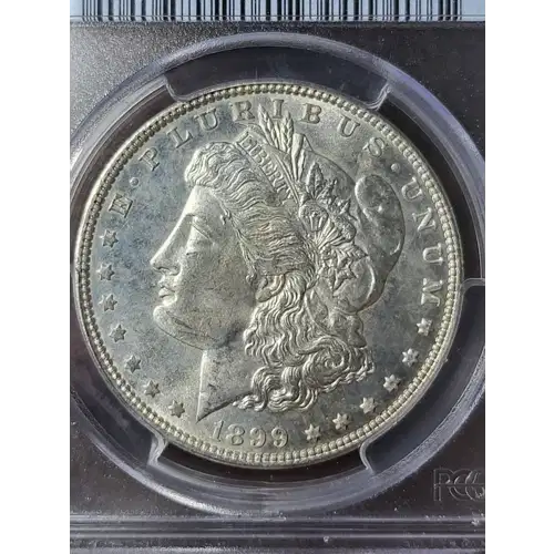 1899 $1 (3)