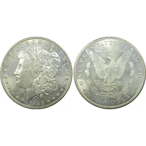 1899 $1 (4)