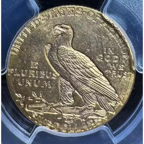 1909-D $5 (3)